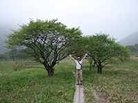 ゆうすげの道