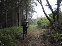 軽井沢近郊でトレイルランニングコースガイド 山、森の中を駆け抜ける!
