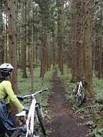 MTBダウンヒルライド・碓氷軽井沢
