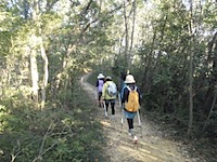浅間軽井沢で山登りを始めよう　山ガール、中高年にもオススメ　関東群馬長野