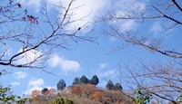 桜山／空