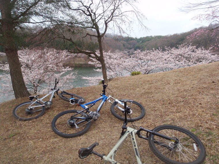 観光サイクリング:マウンテンバイクでお花見自転車ツアー〜軽井沢、群馬高崎藤岡、関東