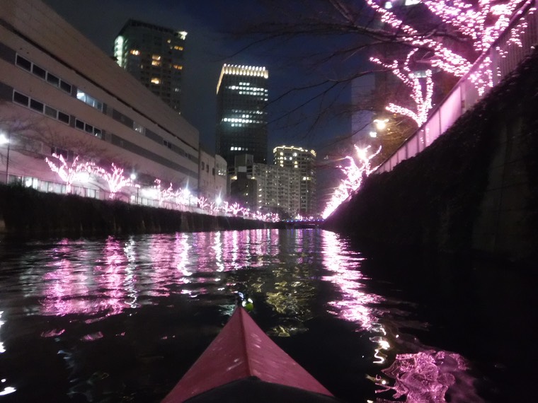 目黒川みんなのイルミネーション〜冬の桜