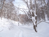 初めての雪歩き、スノーシューハイキング、群馬/関東