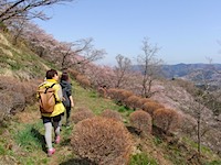 ハイキング(山歩き)/キャニオニング/カヌー・カヤック/ラフティング、アウトドア体験・ツアー&ヨガ、群馬/関東