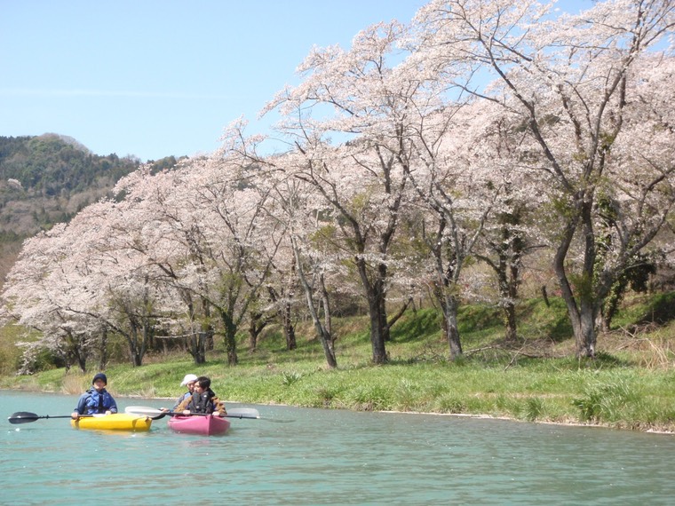 絶景！関東桜お花見カヤック体験ツアー〜東京,軽井沢,長瀞