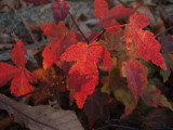 PA302180.JPG