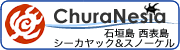pastedgraphic-4