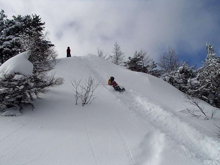 雪山アドベンチャー,バックカントリーそり遊び:軽井沢:関東