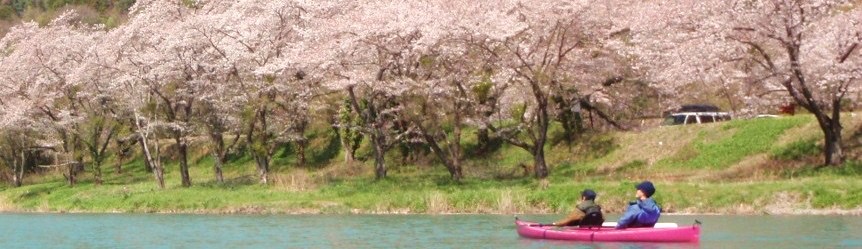 お花見　カヤック