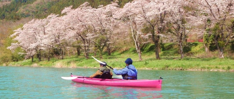 桜 お花見カヤック
